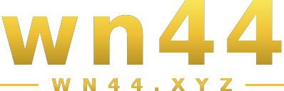 wn44 logo